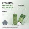 Anti-Dandruff Shampoo & Conditioner Combo | With Salicylic Acid, Rosemary & Biotin - 250 ml & 175 gm