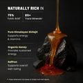 100% Pure Himalayan Shilajit Honey Sticks With Organic Honey & Saffron - 30 Sticks