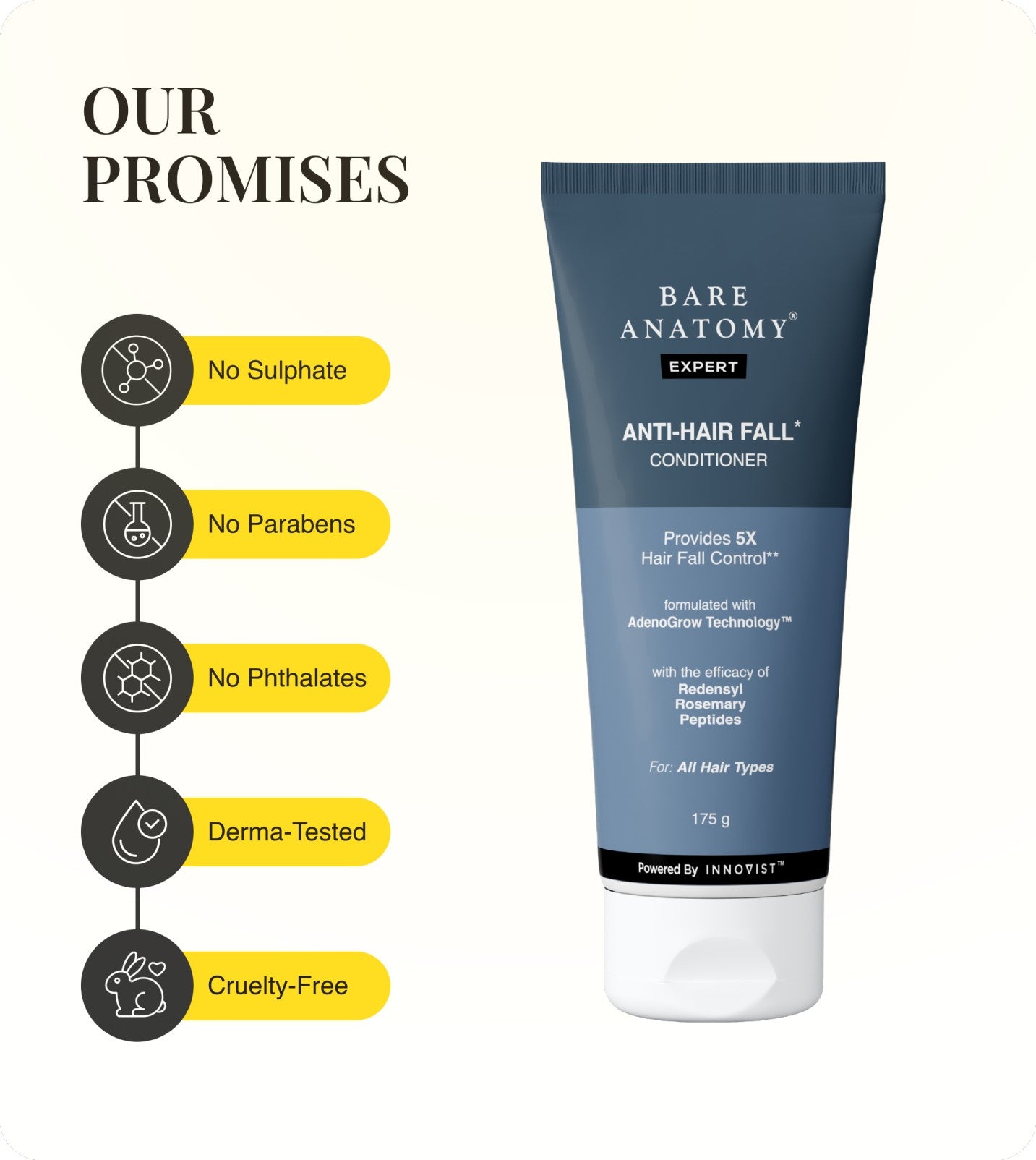Our Promises