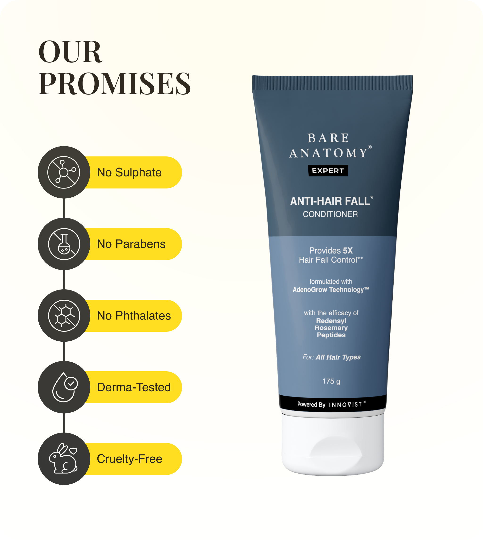 Our Promises