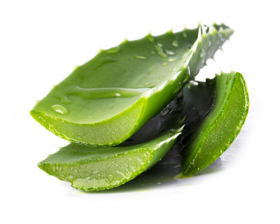 Aloe Vera Extract