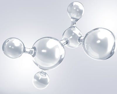 Amino Acid