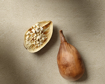 Baobab Extract