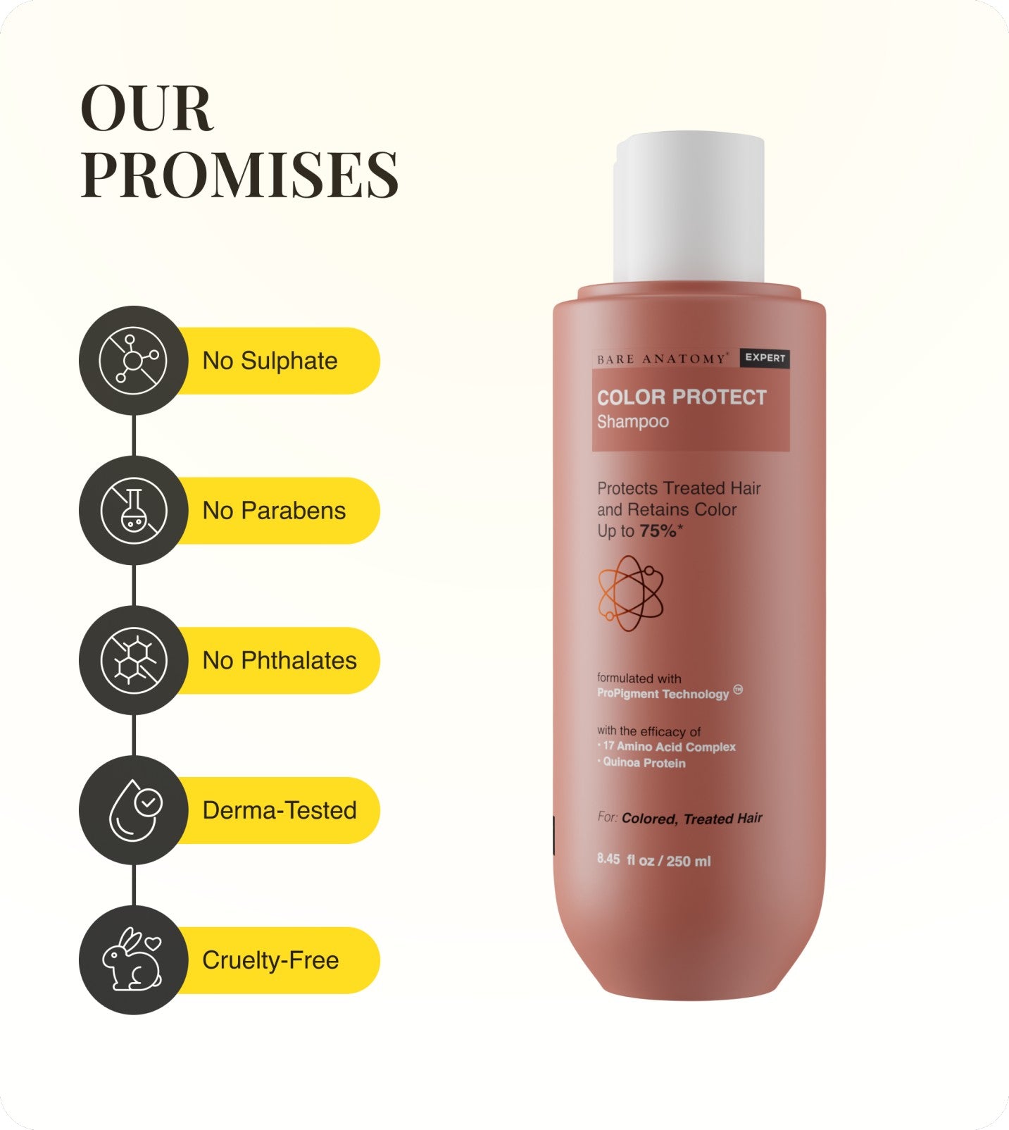 Our Promises