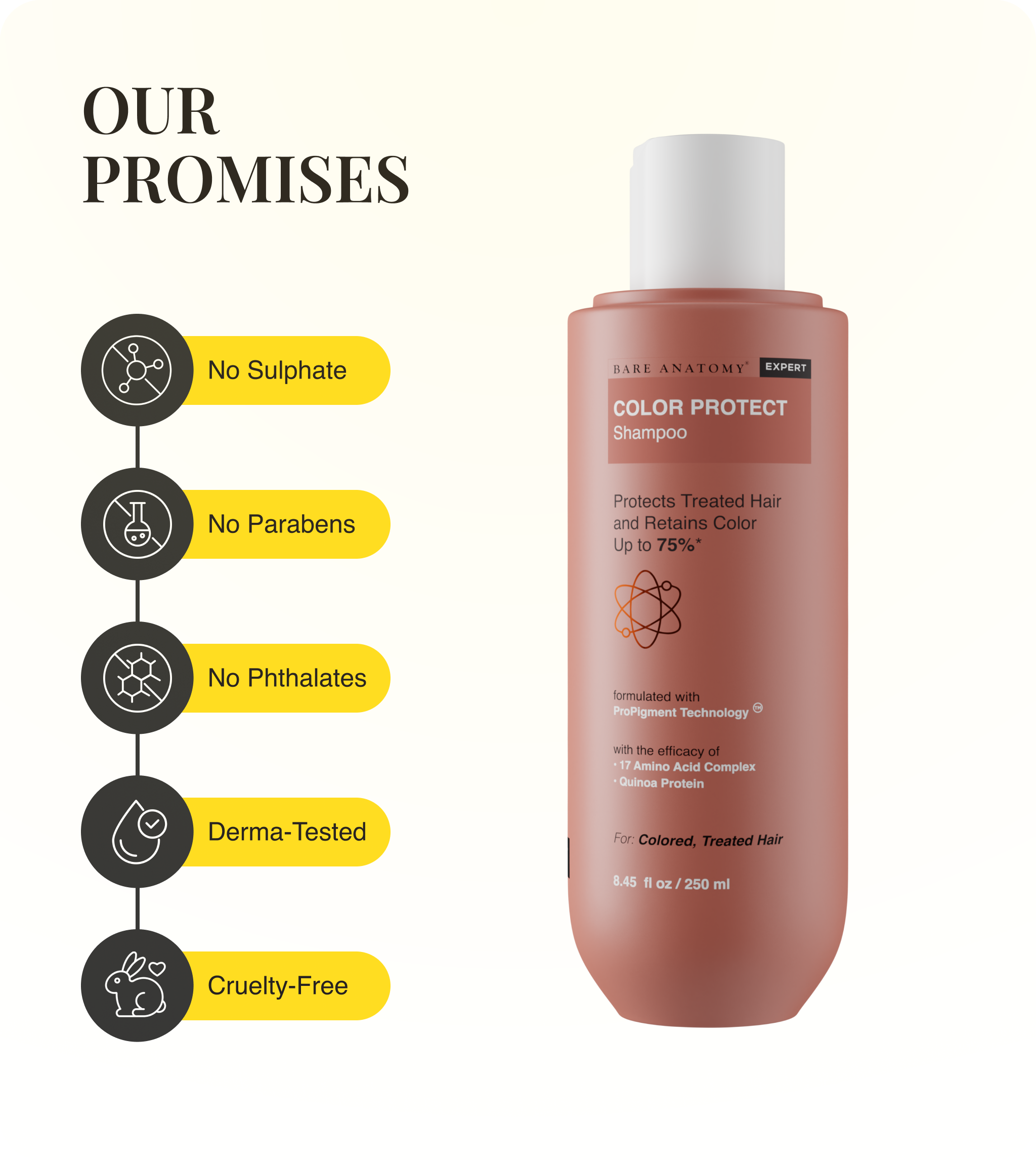 Our Promises