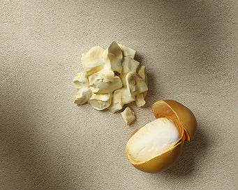 Cupuaçu butter