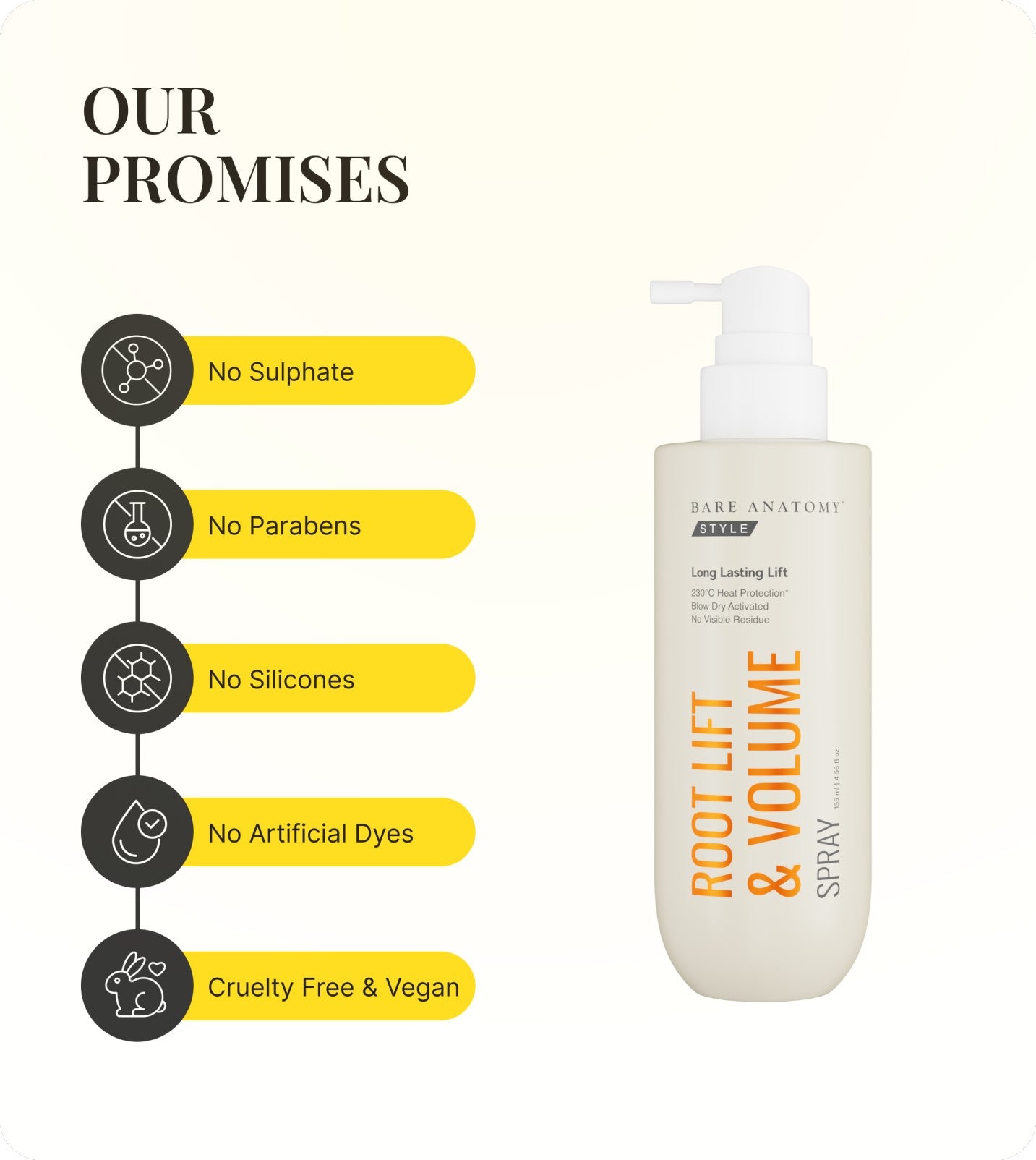 Our Promises
