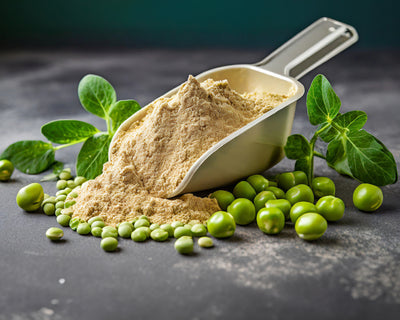 Pea Protein