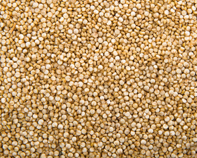 Quinoa Protein
