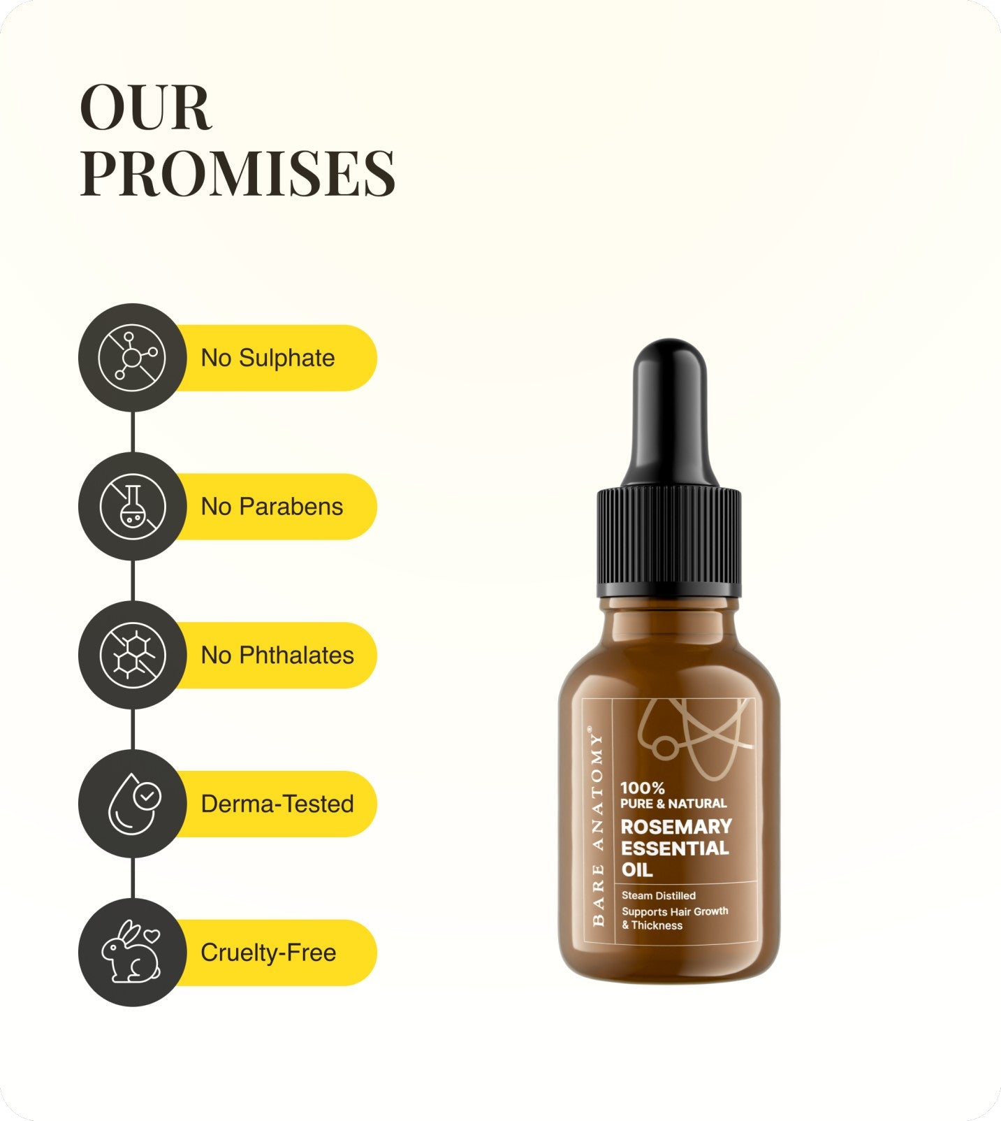 Our Promises