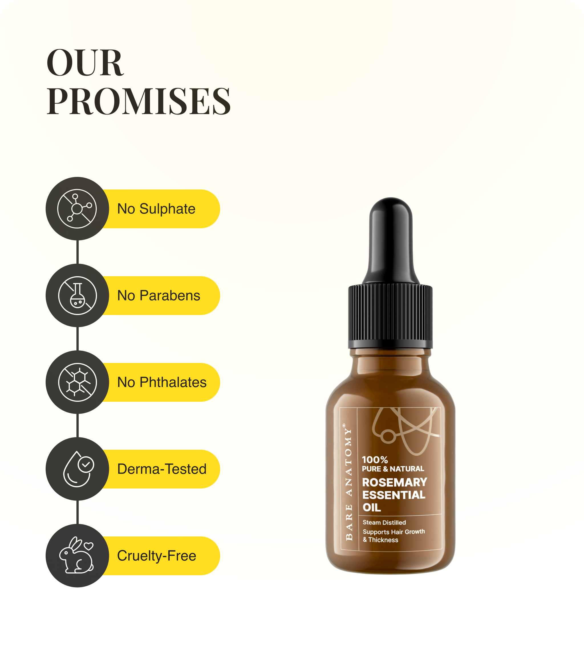 Our Promises
