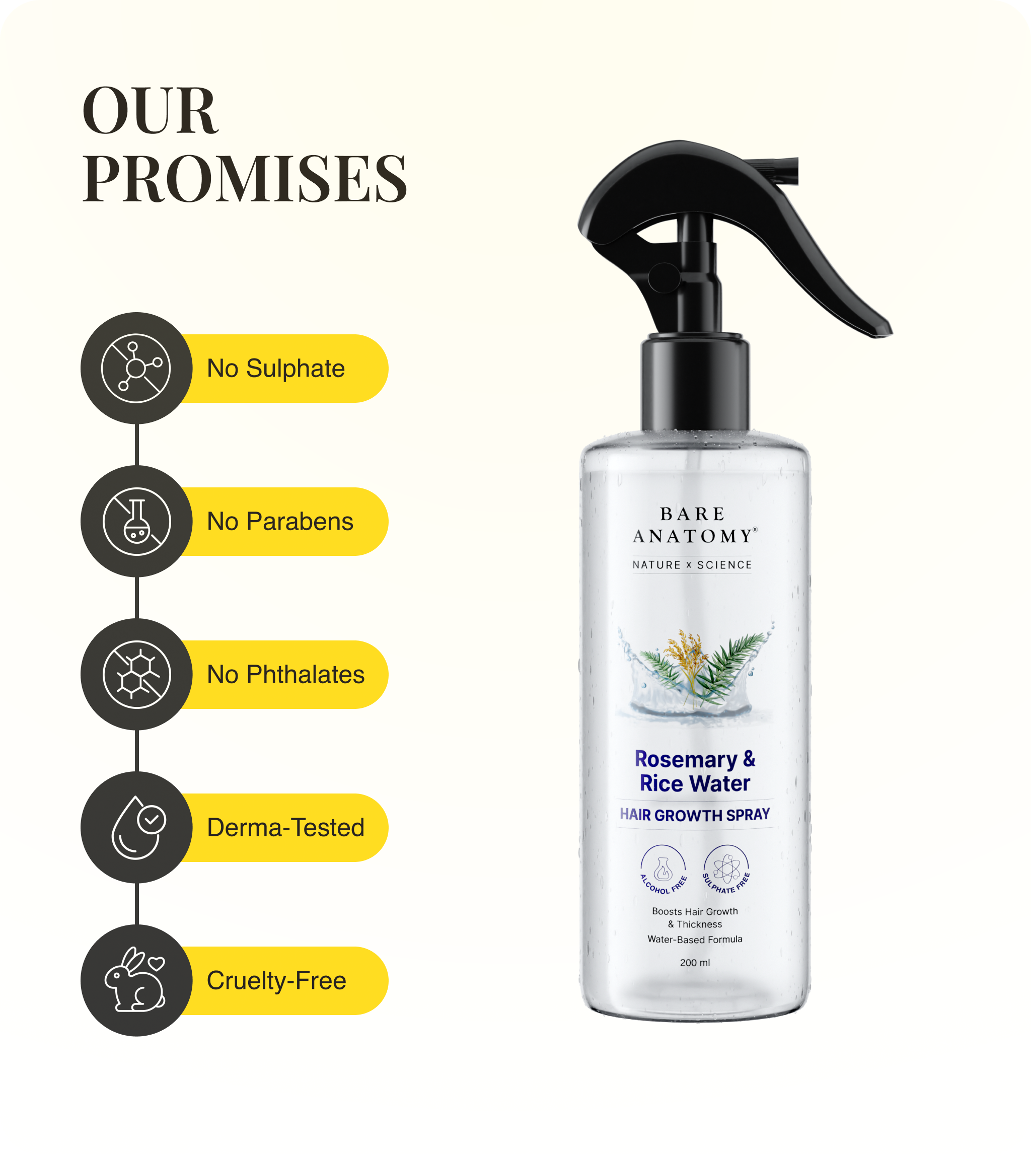 Our Promises