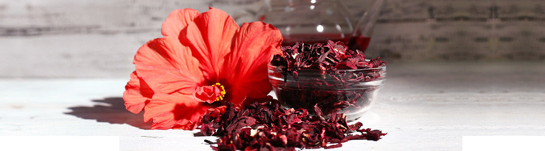 The Complete Guide to Using Hibiscus for Hair