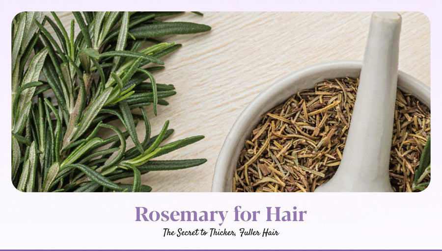 Rosemary for Hair: Benefits, Types & Ways to Use Rosemary for Hair Growth