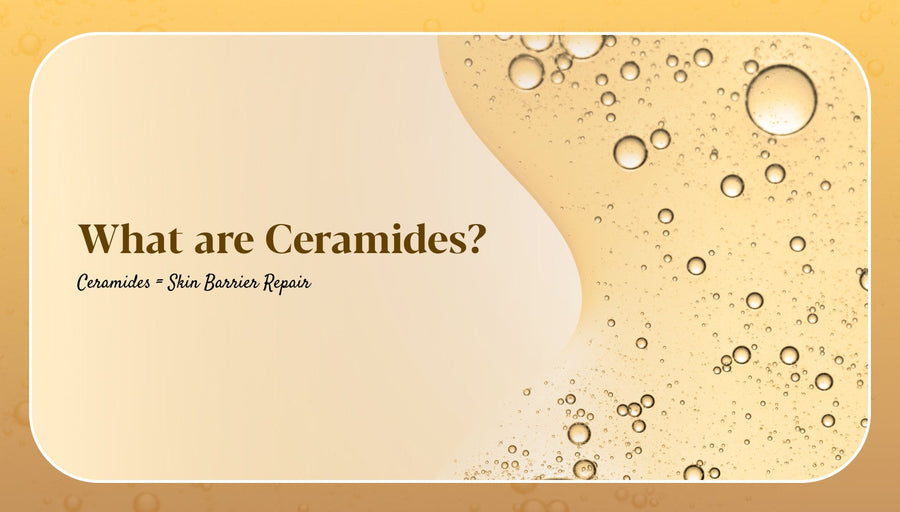 What are Ceramides