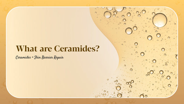 What are Ceramides