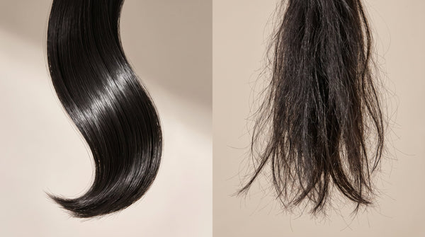 What Happens When You Skip Conditioner? The Real Effects on Your Hair