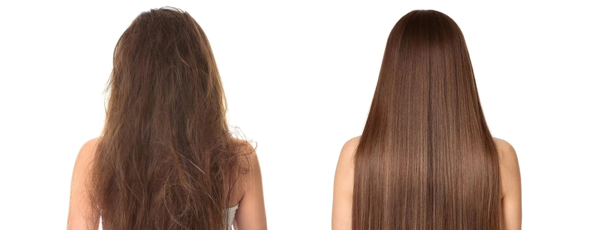 10 Reasons Why Your Hair is Damaged and How to Fix It