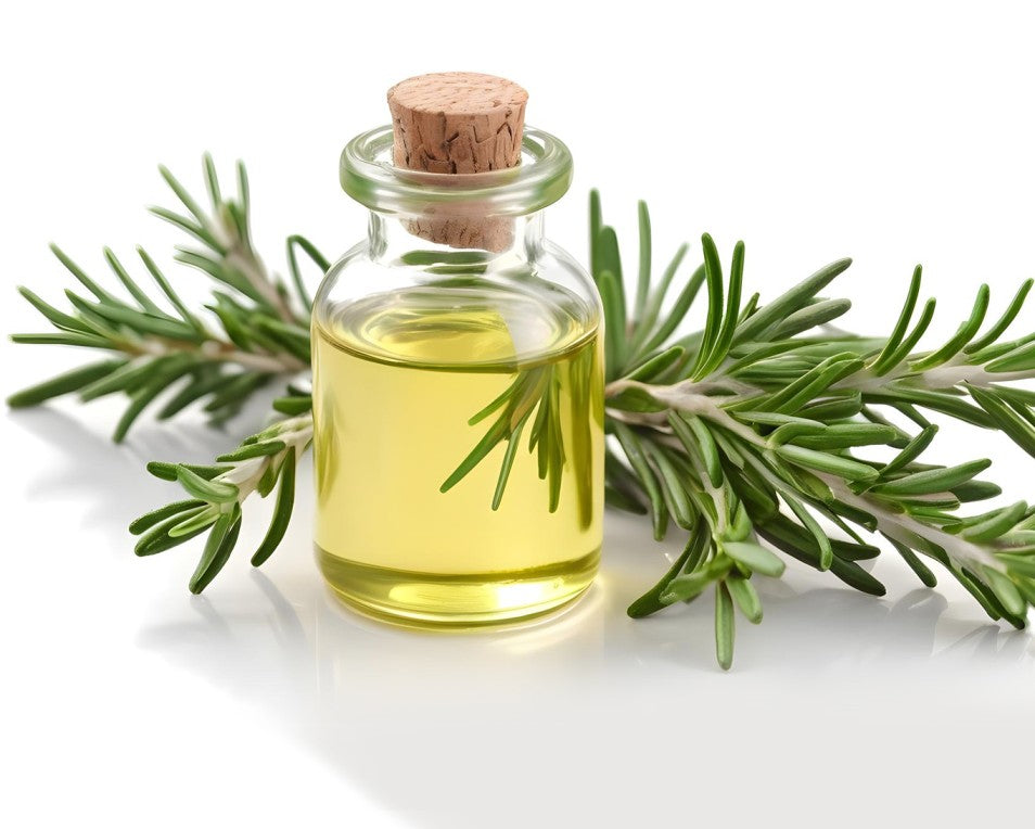5% Rosemary