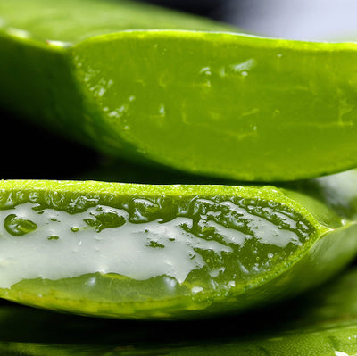 Aloe Vera Extract