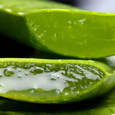 Aloe Vera Extract