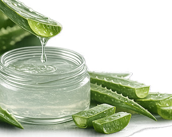 Aloe Vera Extract