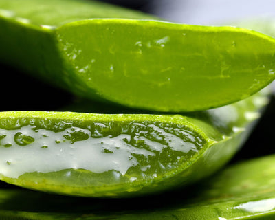 Aloe Vera Extracts