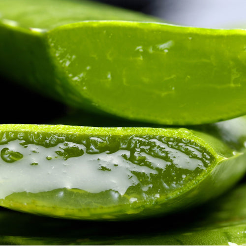Aloe Vera Extracts