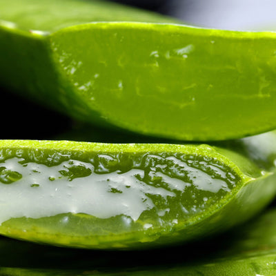 Aloe Vera Extract