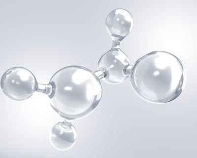Amino Acids 