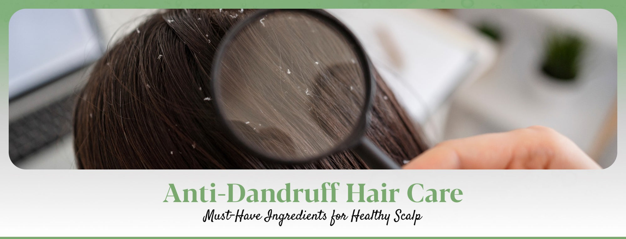 The Top Ingredients to Look for in Anti-Dandruff Products