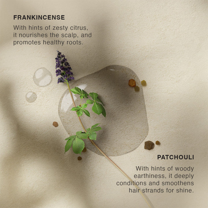 Frankincense Patchouli Hair Cleanser