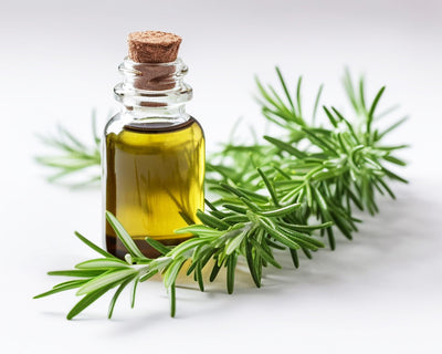Rosemary