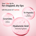 Cherry Lip Balm for Chapped & Pigmented Lips | SPF 50 PA++++ & Kojic Acid | 4.5 gm