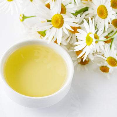 Chamomile Extract