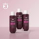 Curl Defining Shampoo with 2X Frizz Control for Men & Women - 250 ml | Pack of 3