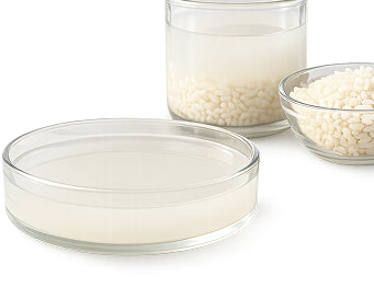 Fermented Rice Extract