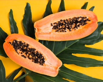 Papaya Extract