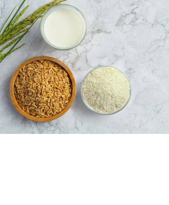 Rice Extract
