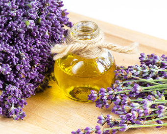 Lavender Oil