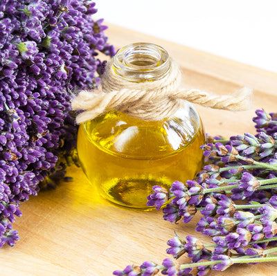Lavender Oil