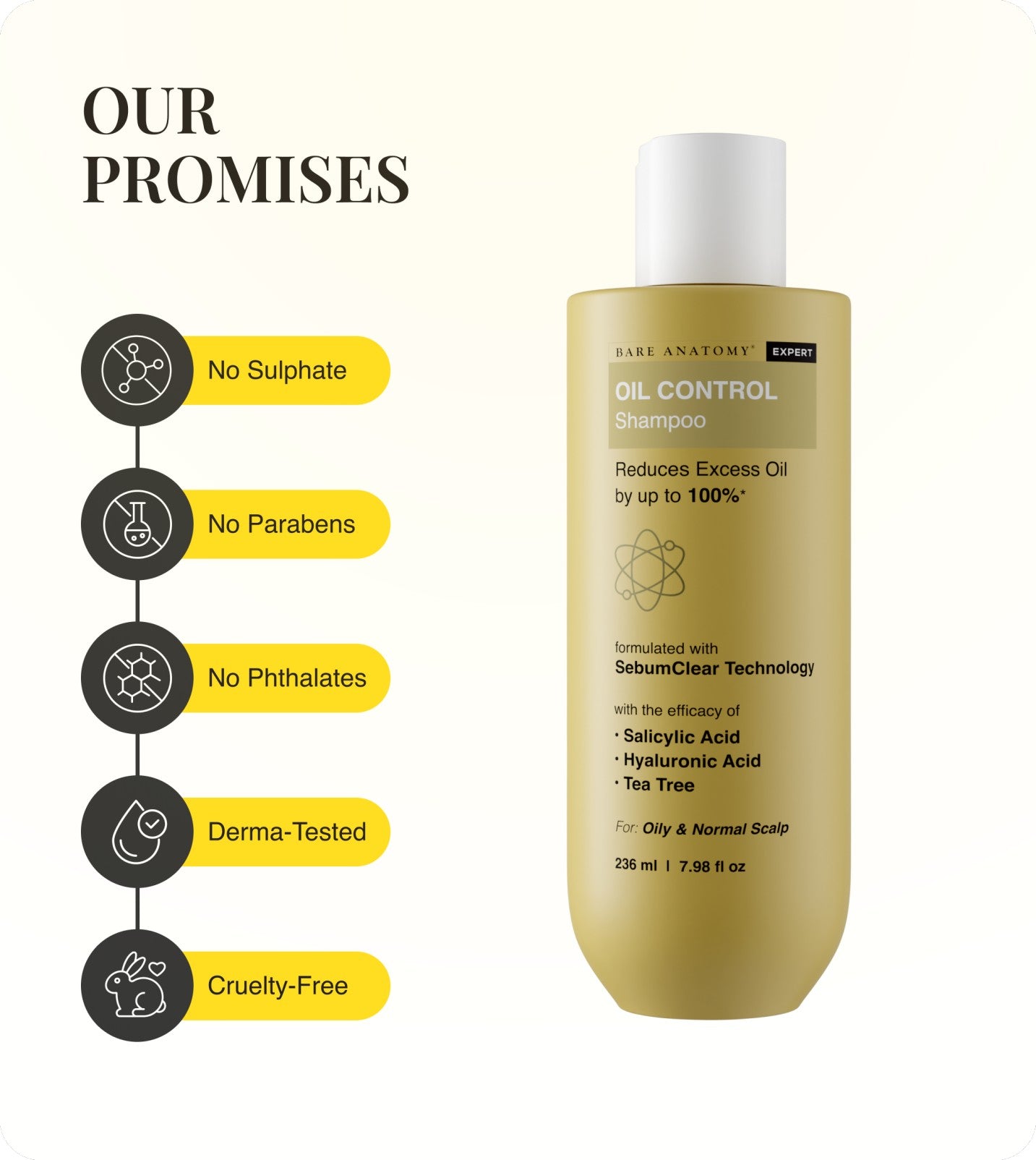 Our Promises
