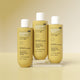 Oil Control Shampoo With Salicylic Acid, Hyaluronic Acid & Tea Tree - 236 ml | Pack of 3