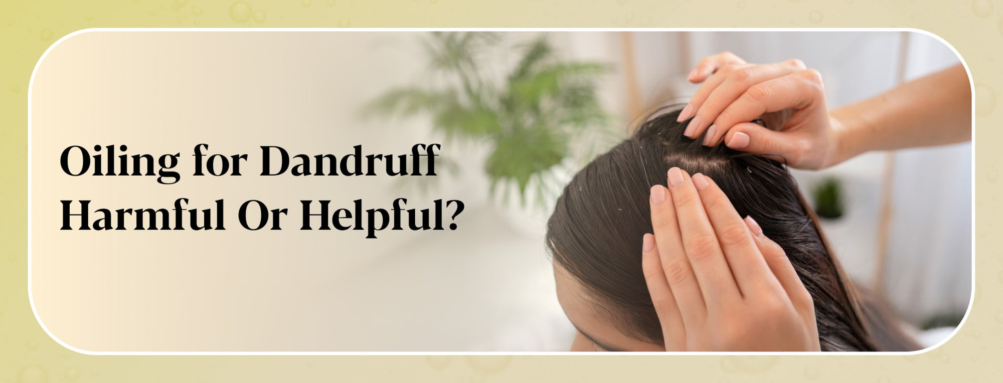 Dandruff Is Not Dry Scalp - And Why Applying Oil Makes It Worse