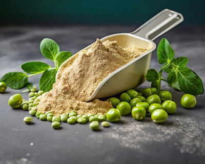 Pea Protein 