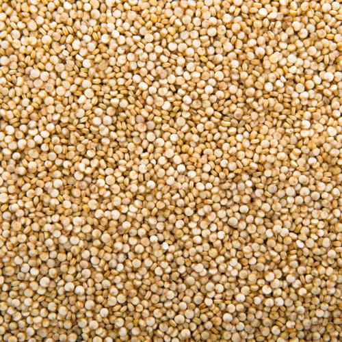 Quinoa