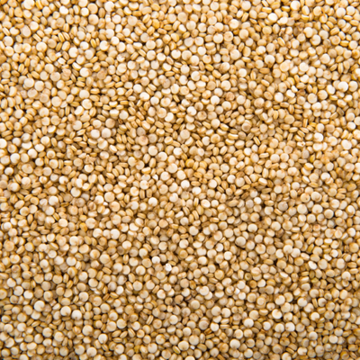 Quinoa Protein