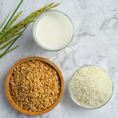 Rice Bran Extract
