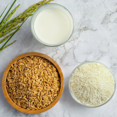Rice Extract