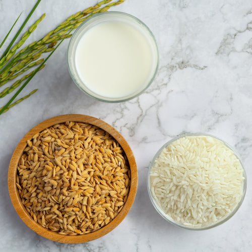 Rice Extract